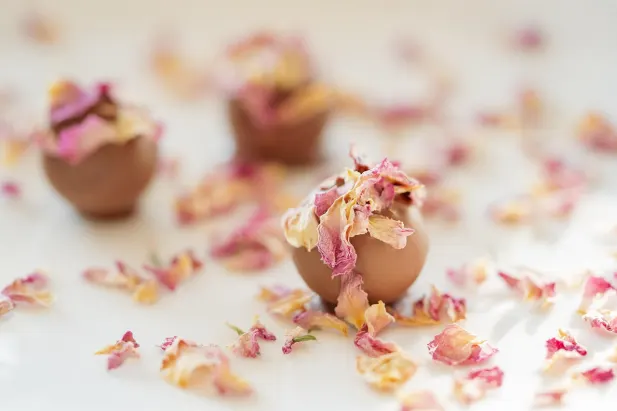 Casino Fantastic Spins Android/iOS App